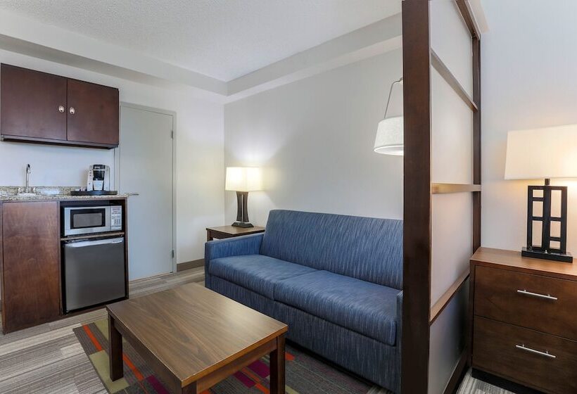장애인을 위한 스위트, Holiday Inn Express Hotel & Suites Fort Worth Downtown, An Ihg