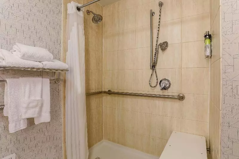اتاق استاندارد با تخت بزرگ برای معلولان, Holiday Inn Express Hotel & Suites Fort Worth Downtown, An Ihg