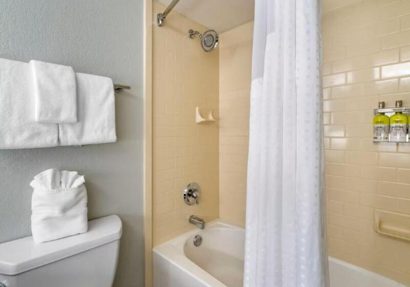 Habitació Estàndard Llit King, Holiday Inn Express Hotel & Suites Fort Worth Downtown, An Ihg