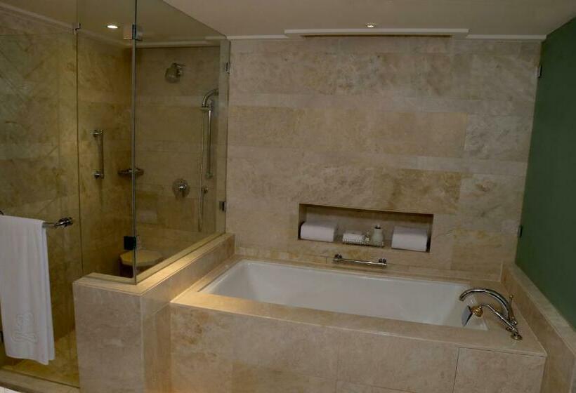 스탠다드 룸 호수 전망, The Leela Palace Udaipur