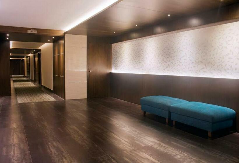 Chambre Standard, President