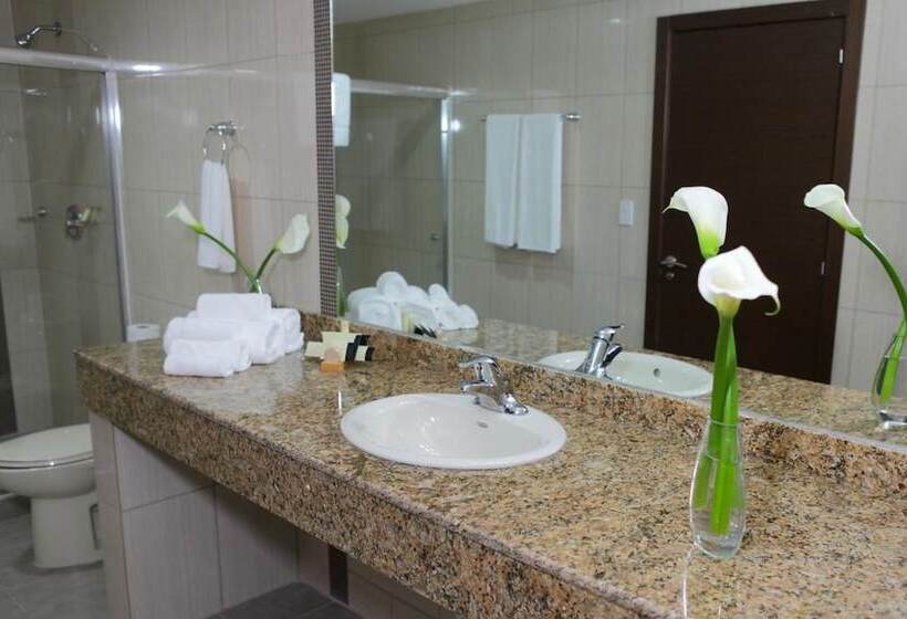 Номер Deluxe, Victoria Hotel And Suites Panama