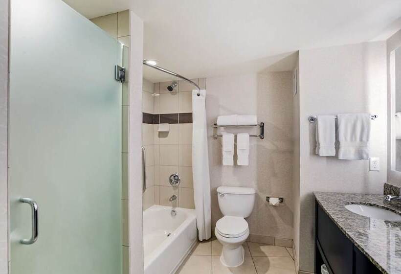 ダブルベッドスタンダードルーム, Best Western Plus Marina Gateway