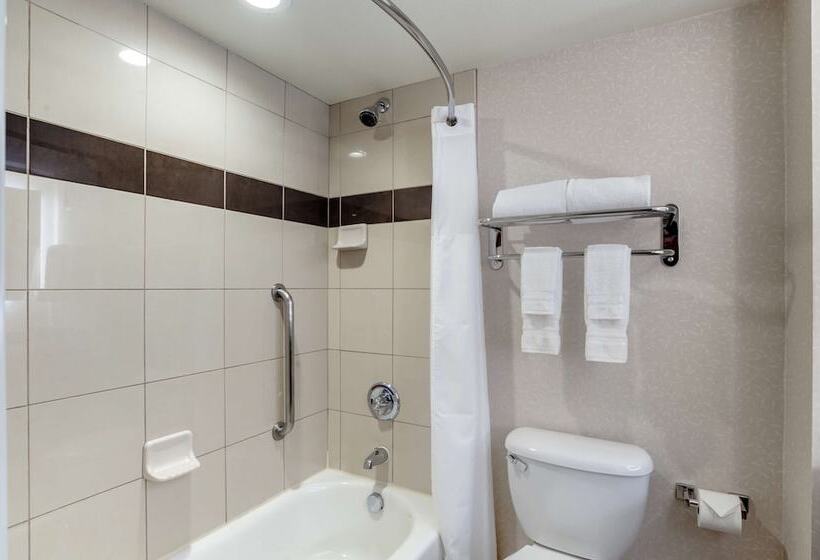 ダブルベッドスタンダードルーム, Best Western Plus Marina Gateway