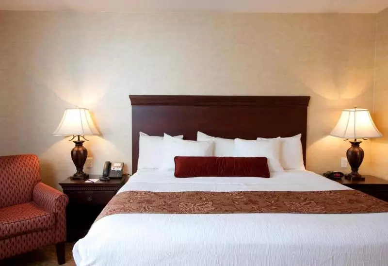 キングサイズベッドのスタンダードルーム, Best Western Plus Vineyard Inn And Suites
