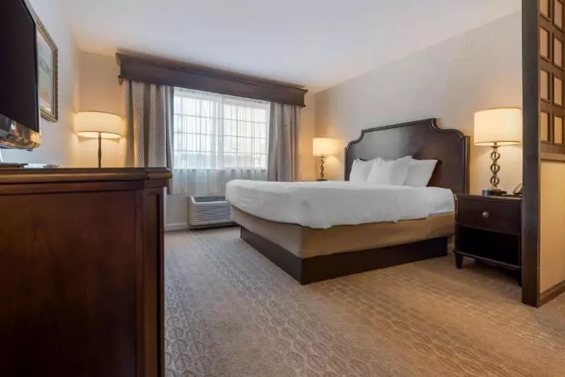 キングサイズベッドのスタンダードルーム, Best Western Plus Vineyard Inn And Suites