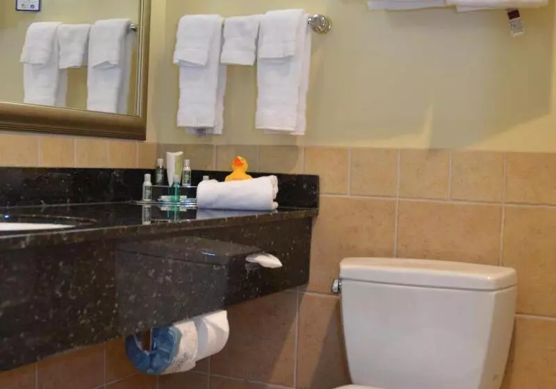 スタンダードルーム, Best Western Plus Vineyard Inn And Suites