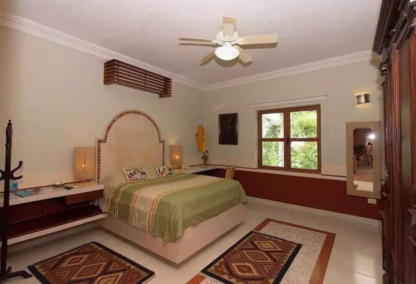 سوییت جونیور, Boutique Casa San Angel