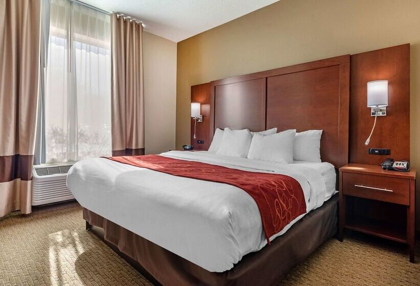 סוויטה מותאמת לאדם עם מוגבלויות, Comfort Suites Cincinnati Airport