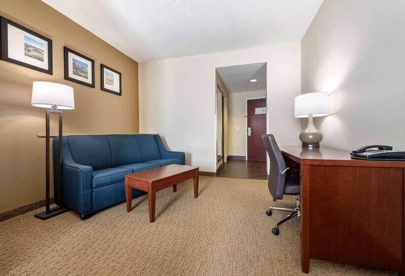 Люкс Адаптированный для Инвалидов, Comfort Suites Cincinnati Airport
