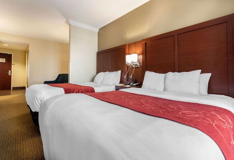 Люкс Адаптированный для Инвалидов, Comfort Suites Cincinnati Airport