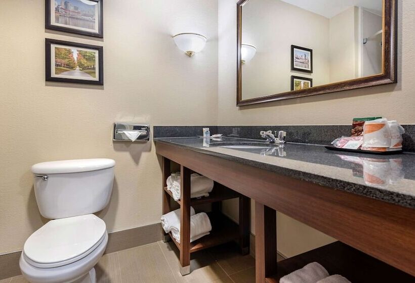 סוויטה מותאמת לאדם עם מוגבלויות, Comfort Suites Cincinnati Airport
