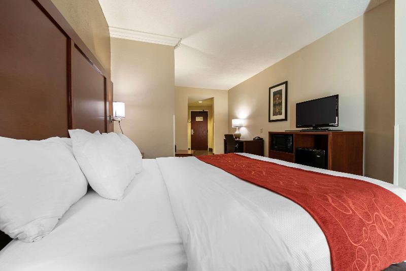 מיטת קינג בסוויטה, Comfort Suites Cincinnati Airport