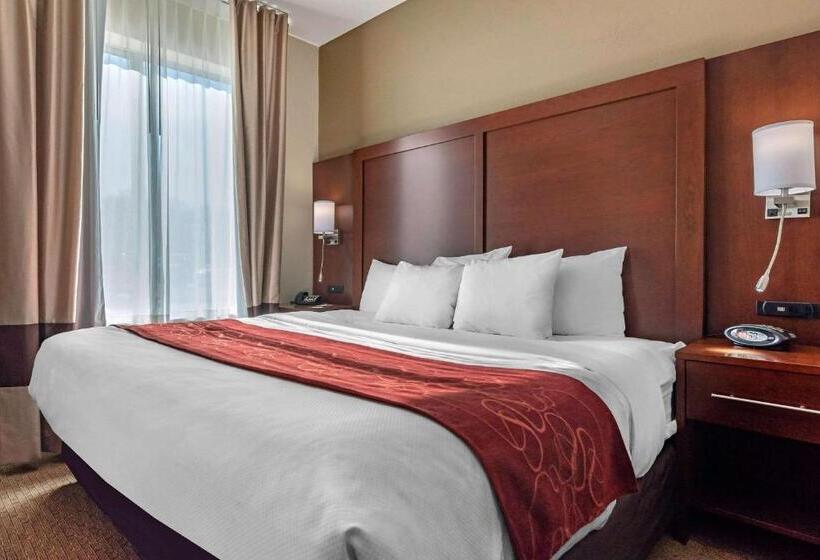 Люкс Кровать Кинг, Comfort Suites Cincinnati Airport
