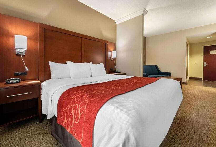 Люкс Кровать Кинг, Comfort Suites Cincinnati Airport