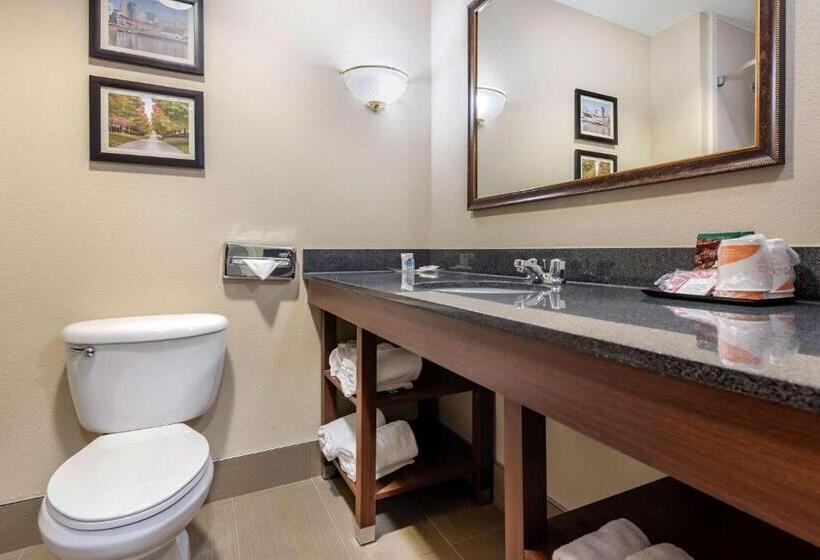 סוויטה, Comfort Suites Cincinnati Airport
