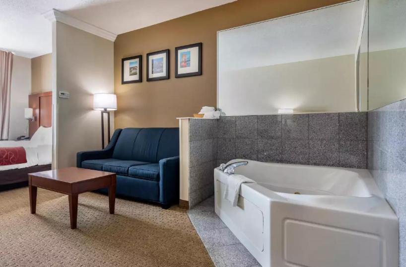 מיטת קינג בסוויטה, Comfort Suites Cincinnati Airport