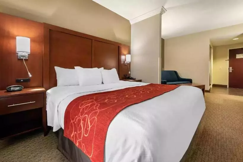 سوئیت برای معلولان, Comfort Suites Cincinnati Airport