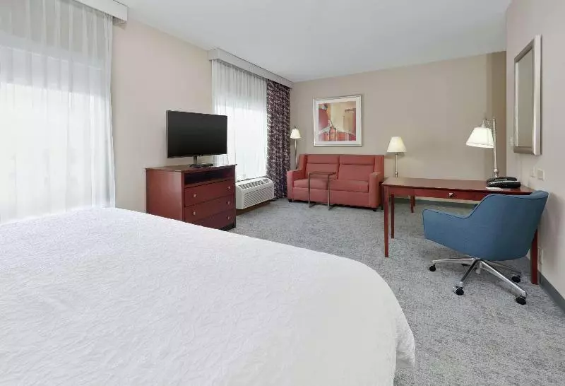 キングサイドベッドのスタンダードワンルーム, Hampton Inn & Suites Abilene I 20