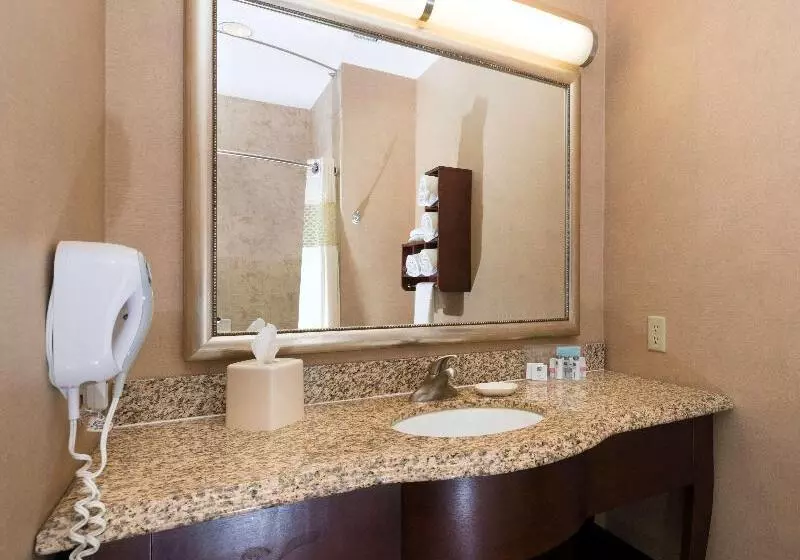 キングサイドベッドのスタンダードワンルーム, Hampton Inn & Suites Abilene I 20