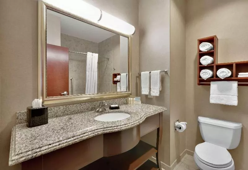 キングサイドベッドのスタンダードワンルーム, Hampton Inn & Suites Abilene I 20