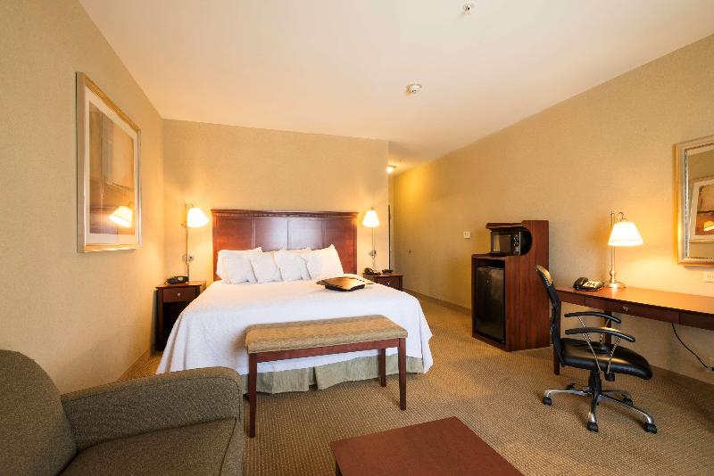 סטודיו סטנדרט, מיטה זוגית, Hampton Inn & Suites Abilene I 20