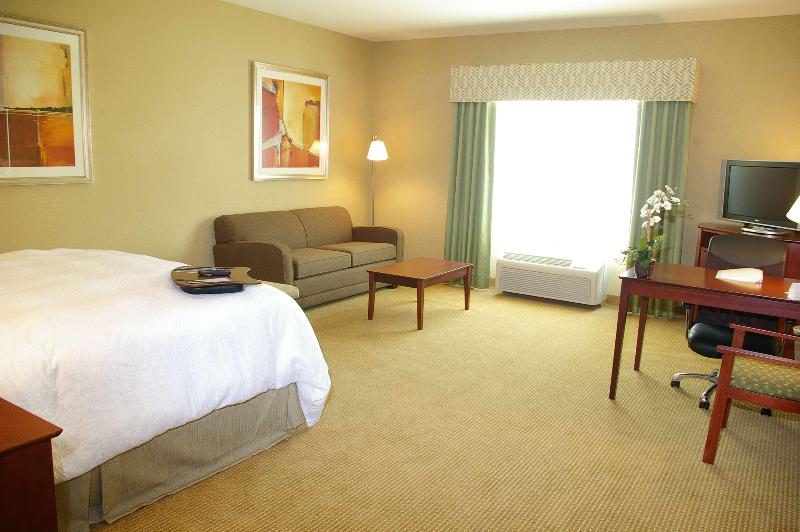 Standard-studio King-vuode, Hampton Inn & Suites Abilene I 20