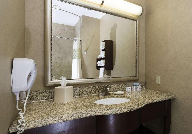 סטודיו סטנדרט, מיטה זוגית, Hampton Inn & Suites Abilene I 20
