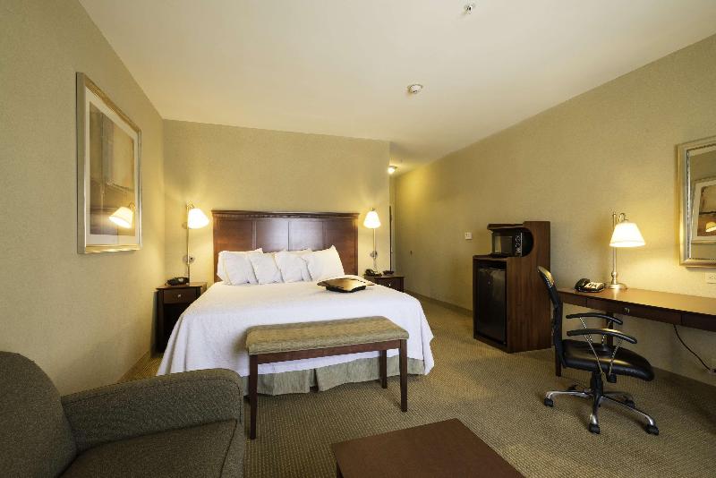 סטודיו סטנדרט, מיטה זוגית, Hampton Inn & Suites Abilene I 20