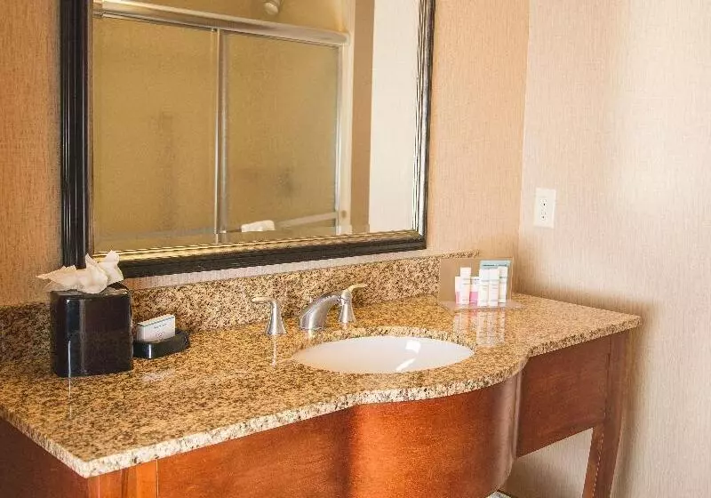 キングサイズベッドのスタンダードルーム, Hampton Inn & Suites Greeley