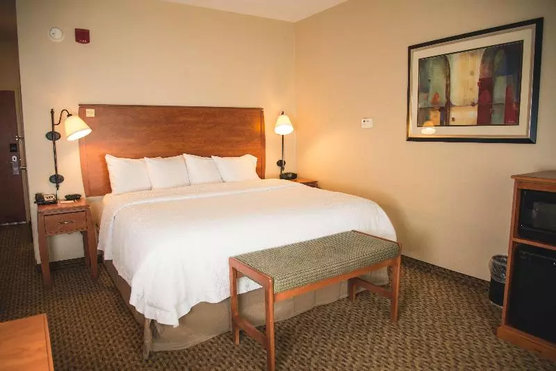 キングサイズベッドのスタンダードルーム, Hampton Inn & Suites Greeley
