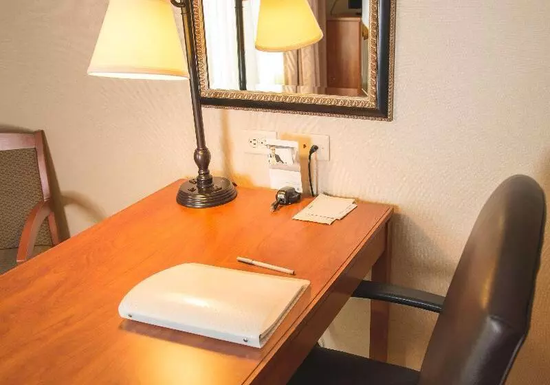 キングサイズベッドのスタンダードルーム, Hampton Inn & Suites Greeley
