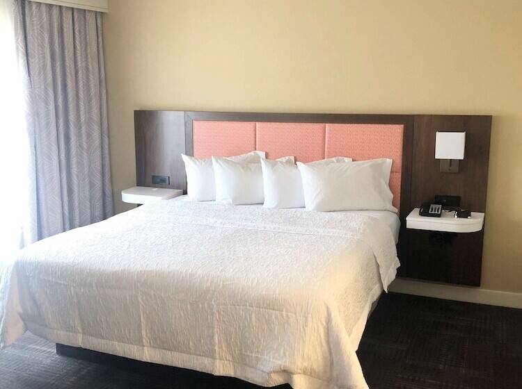 Студия Стандарт, Hampton Inn & Suites Norfolk Airport