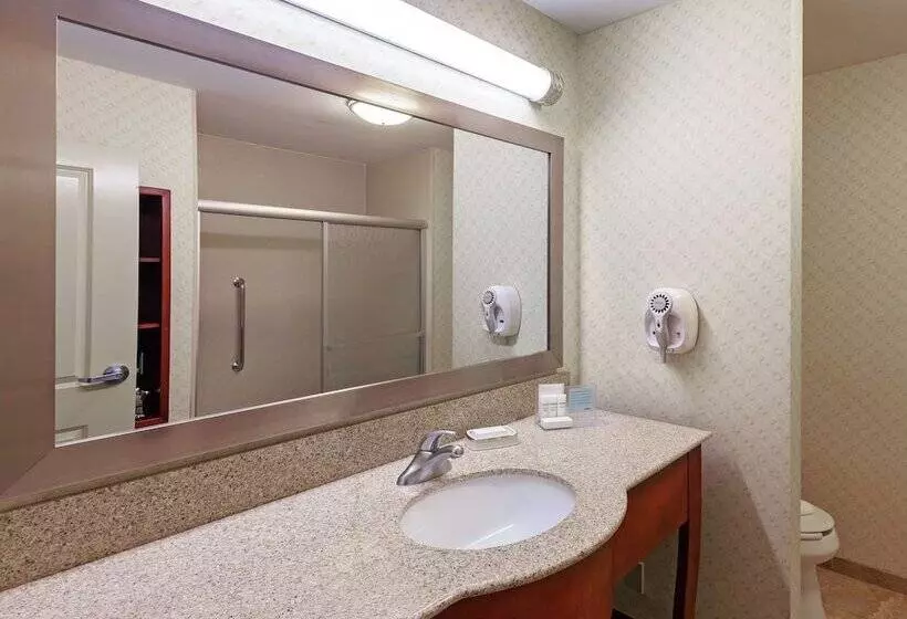 Standard-studio, Hampton Inn & Suites El Paso West