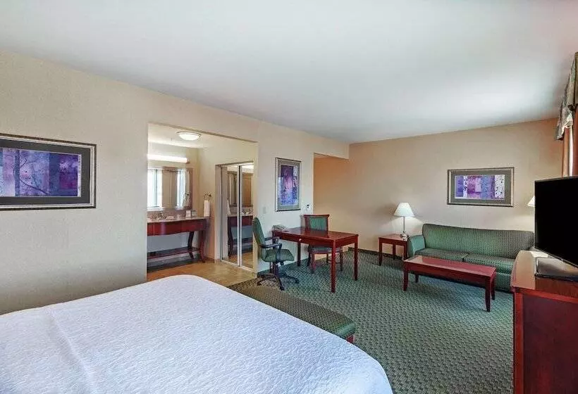 Standard-studio, Hampton Inn & Suites El Paso West