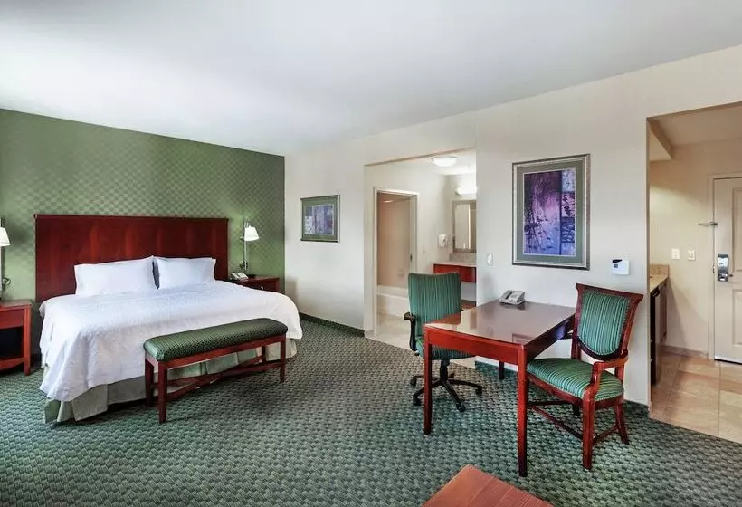 Standard-studio, Hampton Inn & Suites El Paso West