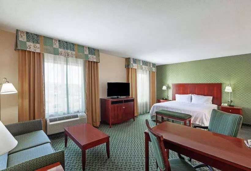 Standard-studio, Hampton Inn & Suites El Paso West