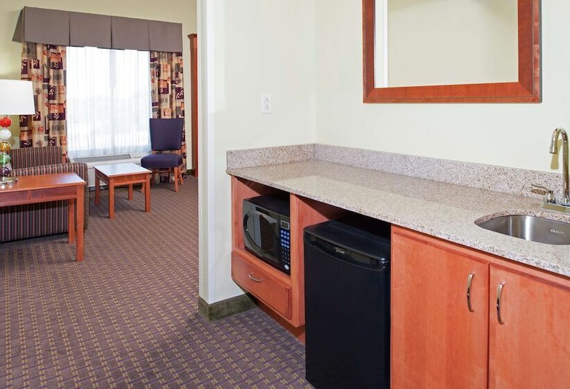 Standard Stúdió Szoba, Hampton Inn & Suites Molinequad City Int L Aprt