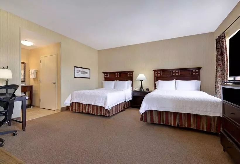 Standard-studio, Hampton Inn & Suites Tahoetruckee