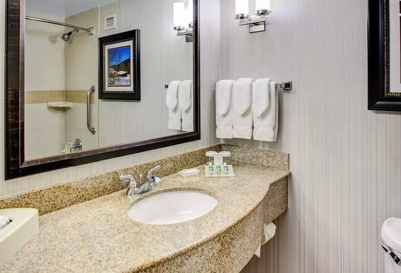 Standard-huone 2 Parivuodetta, Hilton Garden Inn Danbury