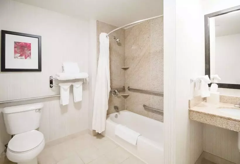 スイート, Hilton Garden Inn Phoenix/Avondale