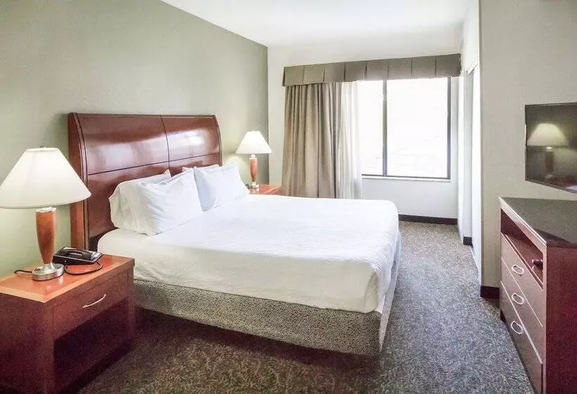 身障者適用スタンダードルーム, Hilton Garden Inn Phoenix/Avondale