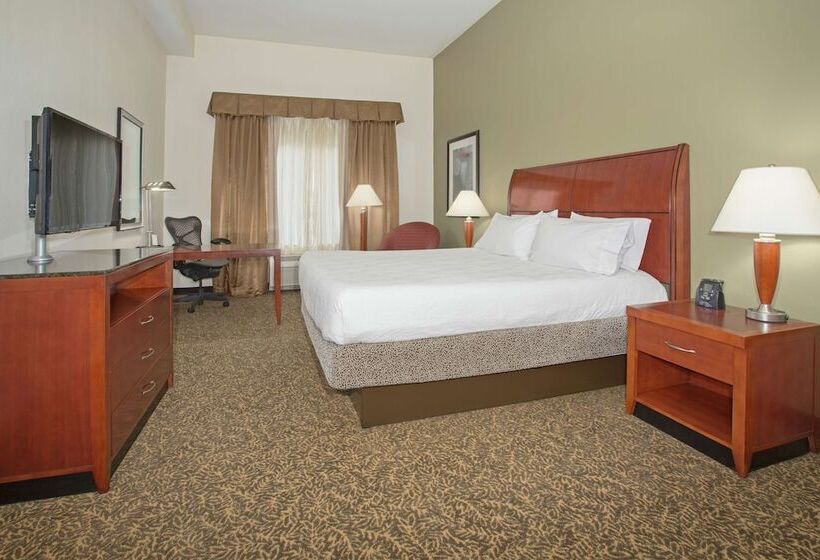 غرفة قياسية لذوى الاحتياجات الخاصة, Hilton Garden Inn Phoenix/Avondale