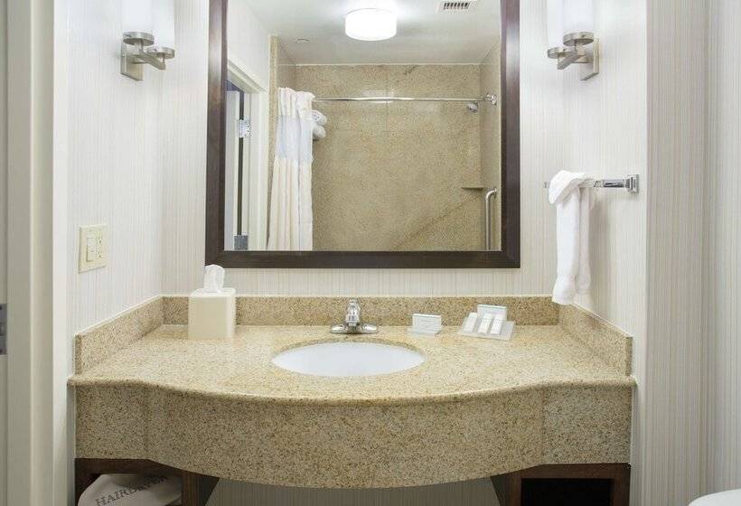 장애인을 위한 스탠다드 룸, Hilton Garden Inn Phoenix/Avondale
