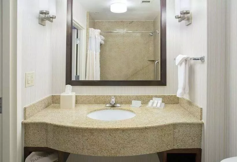 身障者適用スタンダードルーム, Hilton Garden Inn Phoenix/Avondale