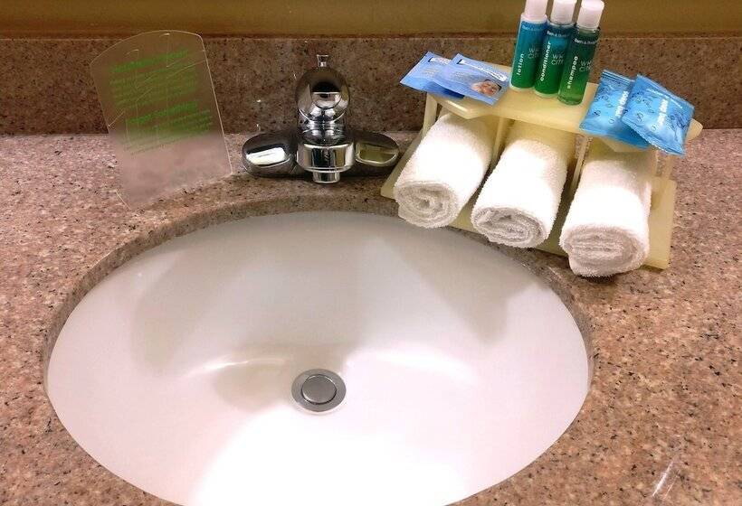 جناح, Holiday Inn Express Hotel & Suites Waller, An Ihg