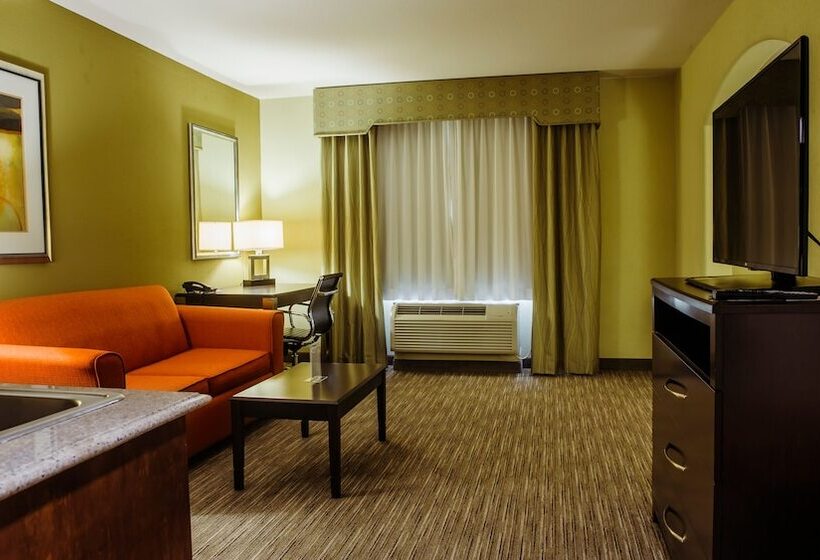 סוויטה, Holiday Inn Express Hotel & Suites Waller, An Ihg