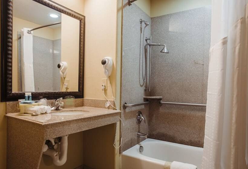 Люкс Адаптированный для Инвалидов, Holiday Inn Express Hotel & Suites Waller, An Ihg