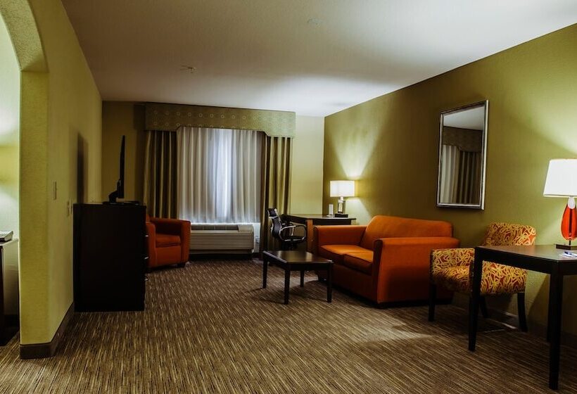 جناح لذوى الاحتياجات الخاصة, Holiday Inn Express Hotel & Suites Waller, An Ihg