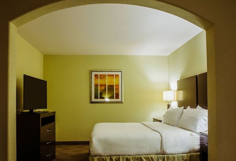 סוויטה מותאמת לאדם עם מוגבלויות, Holiday Inn Express Hotel & Suites Waller, An Ihg